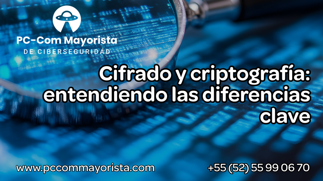 Cifrado y criptografía: entendiendo las diferencias clave